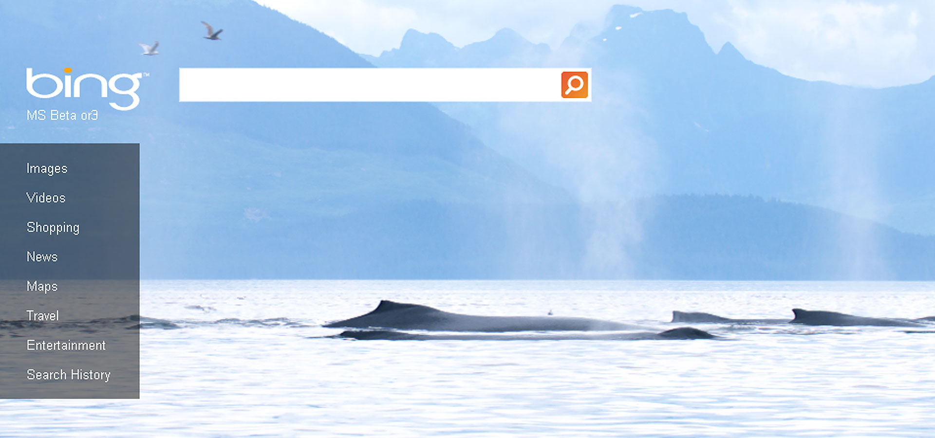 Bing - homepage motion graphic design